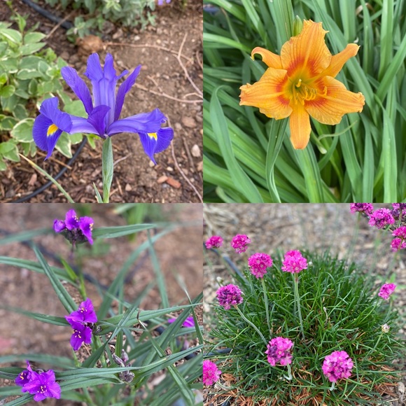 Meet your seller/buyer/clothes enthusiast - Picture 9 of 16